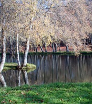 Rio Alfusqueiro 39